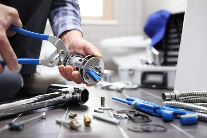 shutterstock 1024475098 (1)
